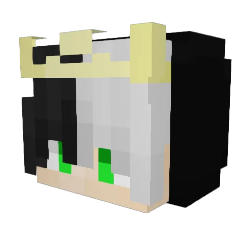 Kxxzzzzpp Minecraft avatar head, 3D render