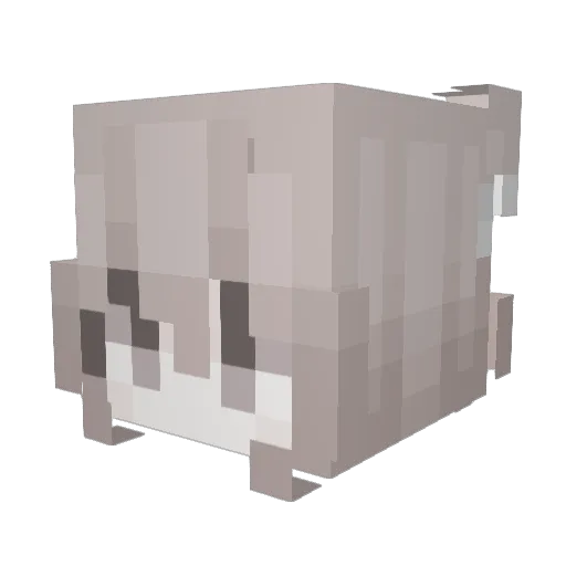 Kxyk Minecraft avatar head, 3D render