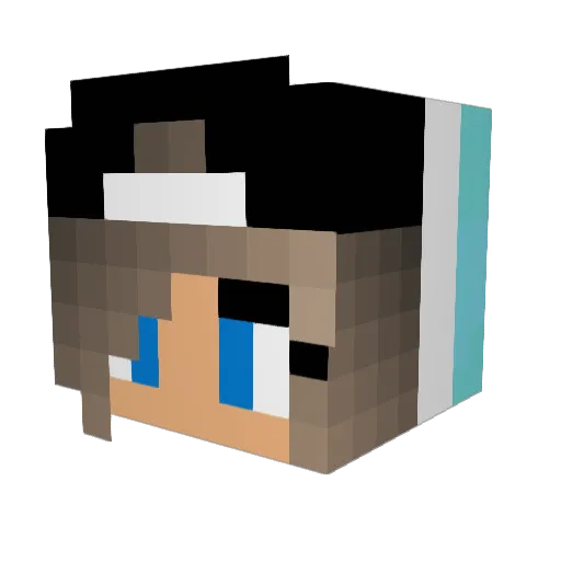 KyLebarbs69 Minecraft avatar head, 3D render