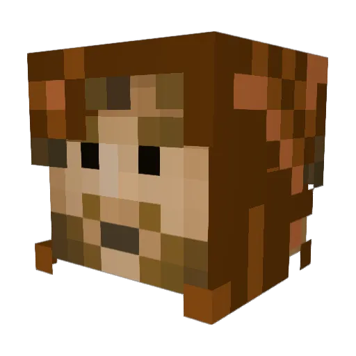 Kyadel Minecraft avatar head, 3D render