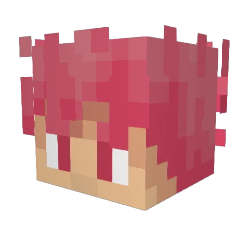 Kyakuzen Minecraft avatar head, 3D render