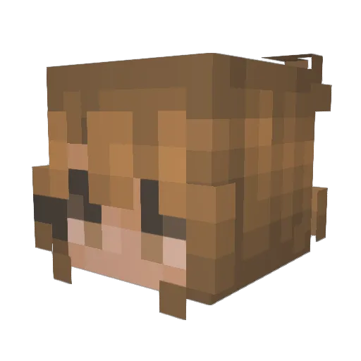 Kyastle Minecraft avatar head, 3D render