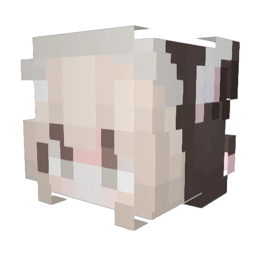 Kyatto_o Minecraft avatar head, 3D render