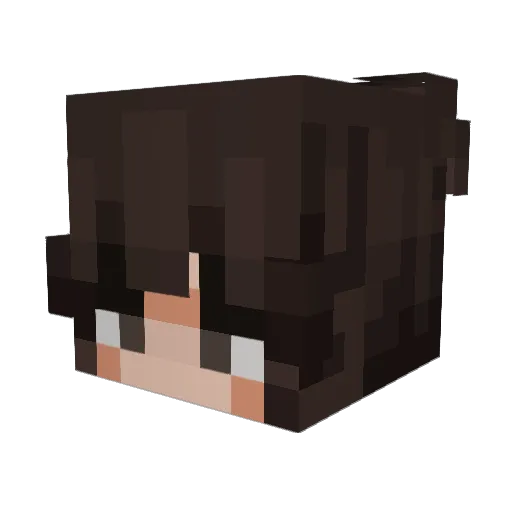 Kyattoslava Minecraft avatar head, 3D render