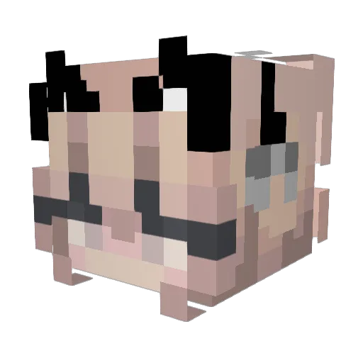 Kybits Minecraft avatar head, 3D render