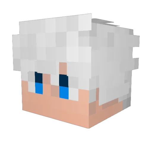 Kyhote Minecraft avatar head, 3D render