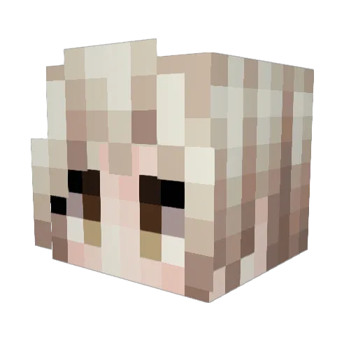 Kyida Minecraft avatar head, 3D render