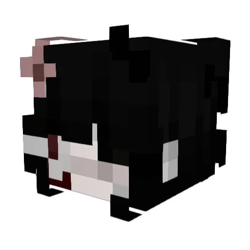 Kyitaa Minecraft avatar head, 3D render