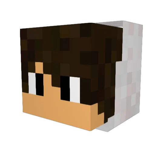 Kyjyinn_ Minecraft avatar head, 3D render