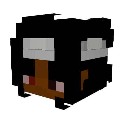 Kyla707 Minecraft avatar head, 3D render