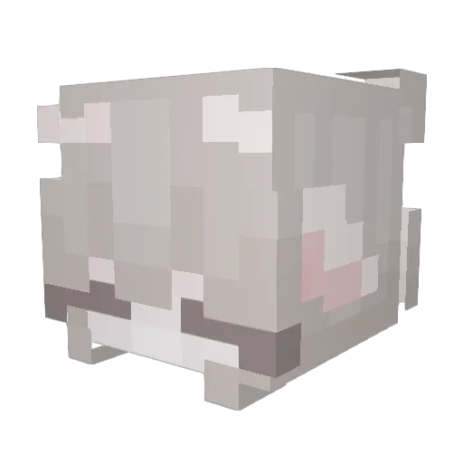 KylaBunny Minecraft avatar head, 3D render