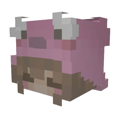 KylaWyla34 Minecraft avatar head, 3D render
