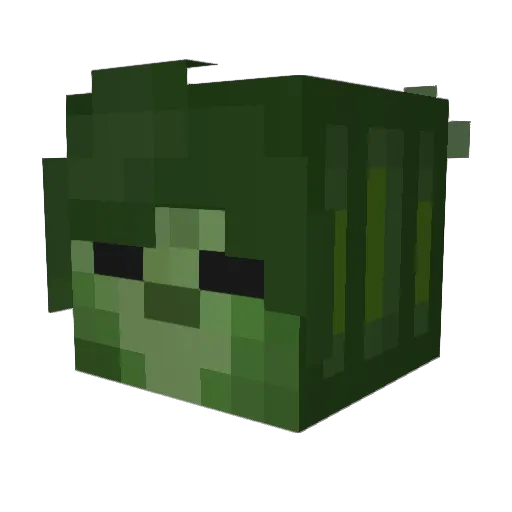 Kyland04 Minecraft avatar head, 3D render
