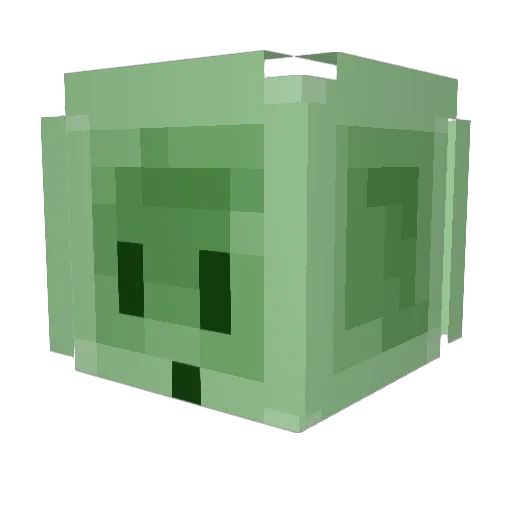 Kyle1665 Minecraft avatar head, 3D render