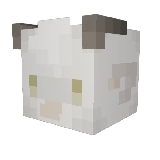 Kyle_On_Fridge Minecraft avatar head, 3D render