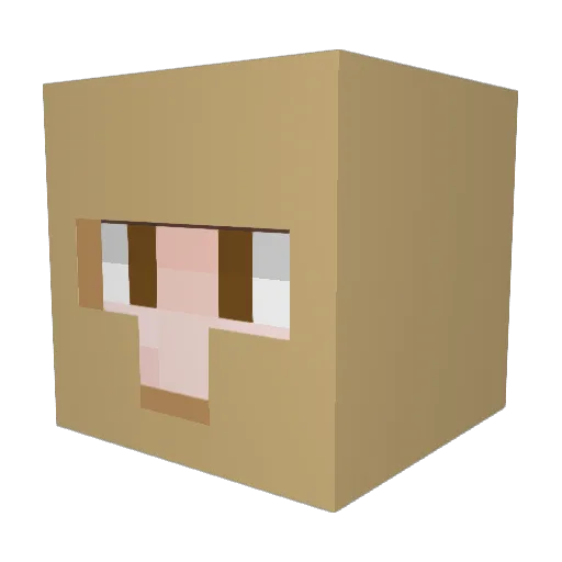 Kyle_the_best Minecraft avatar head, 3D render