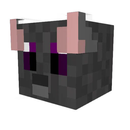 Kylec2341 Minecraft avatar head, 3D render