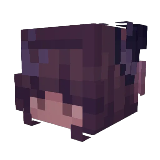 Kyleecamp9000 Minecraft avatar head, 3D render