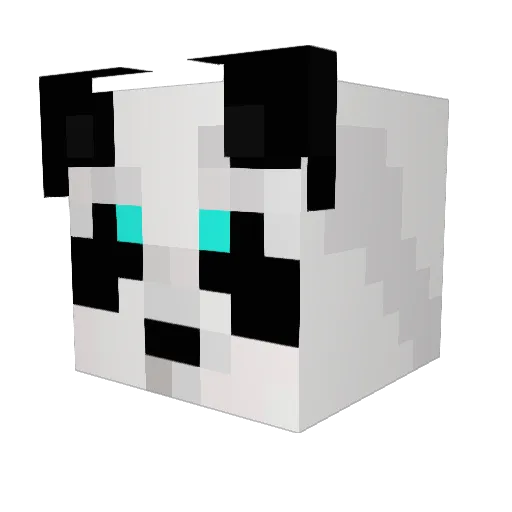 Kyleezz Minecraft avatar head, 3D render