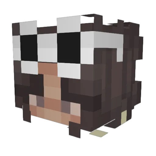 Kyleigh8459 Minecraft avatar head, 3D render