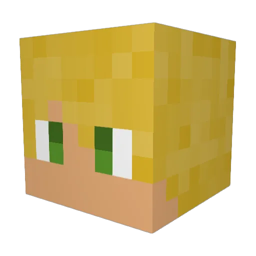 Kyler2010 Minecraft avatar head, 3D render