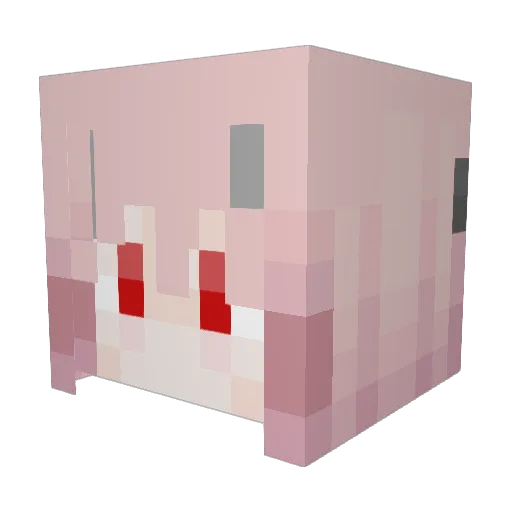 Kylerny Minecraft avatar head, 3D render