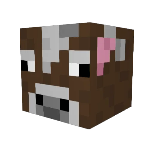 Kylesworld123 Minecraft avatar head, 3D render