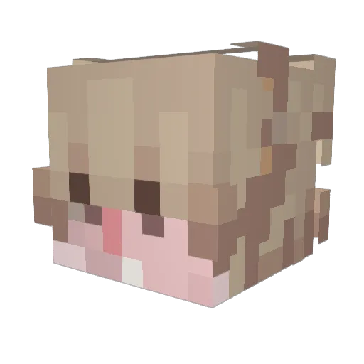 KylianW12 Minecraft avatar head, 3D render