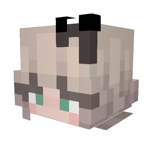 Kylie200 Minecraft avatar head, 3D render