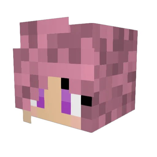 Kylie6254 Minecraft avatar head, 3D render