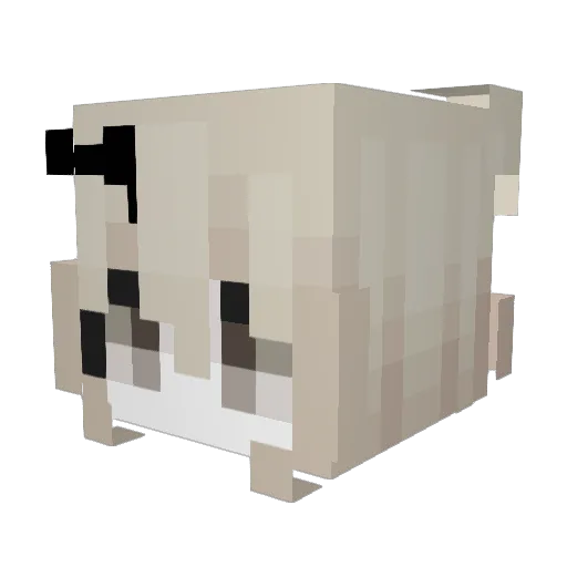 KylieIsBetter Minecraft avatar head, 3D render