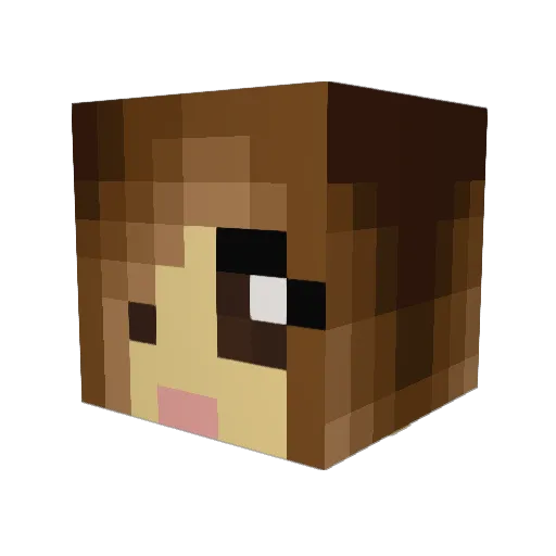 Kylieomnes Minecraft avatar head, 3D render