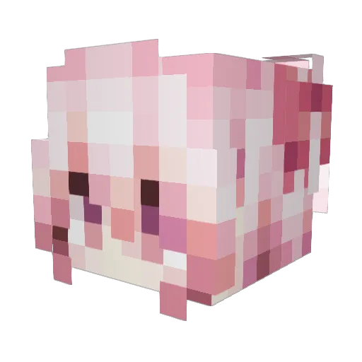Kylin_233 Minecraft avatar head, 3D render