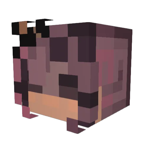 Kyloraa Minecraft avatar head, 3D render