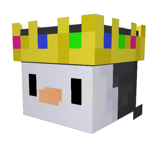 KylothePenguin Minecraft avatar head, 3D render