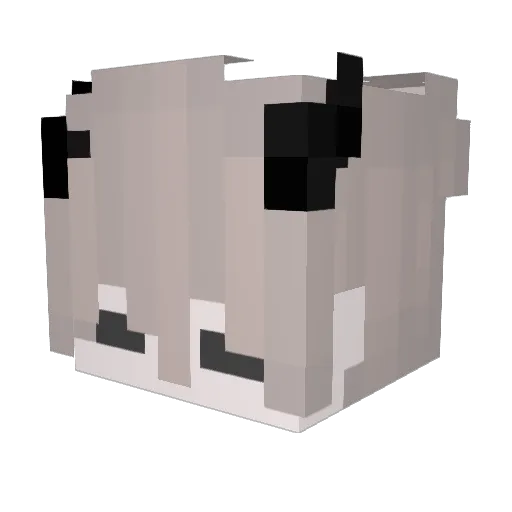 Kylozs Minecraft avatar head, 3D render