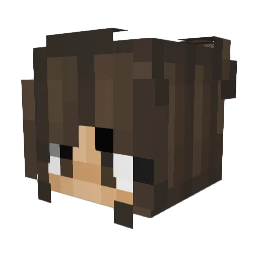 Kynari Minecraft avatar head, 3D render