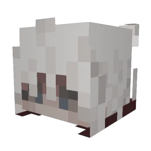 Kynx21 Minecraft avatar head, 3D render