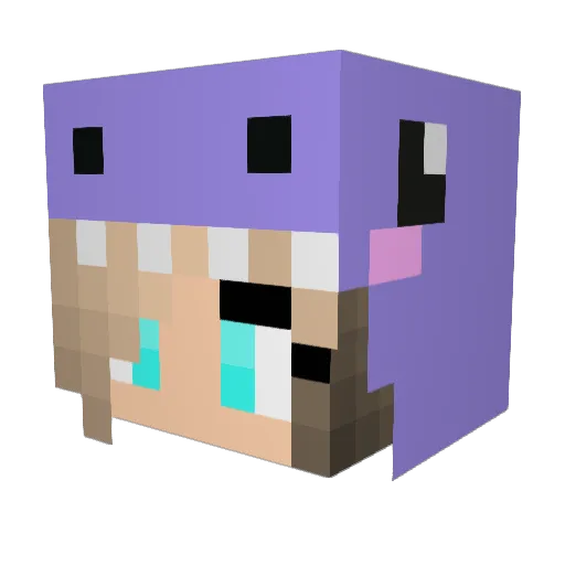 Kyo0o0 Minecraft avatar head, 3D render