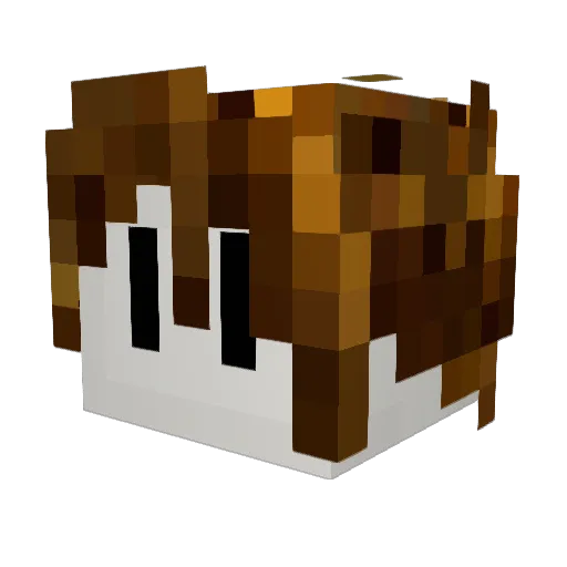 Kyogenn8 Minecraft avatar head, 3D render
