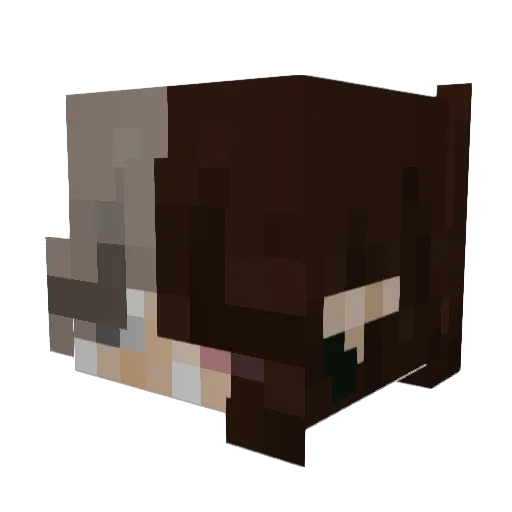 Kyoni_ Minecraft avatar head, 3D render