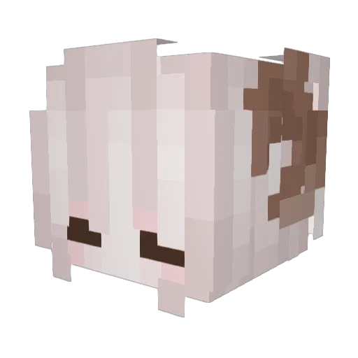 KyoobIsACube Minecraft avatar head, 3D render