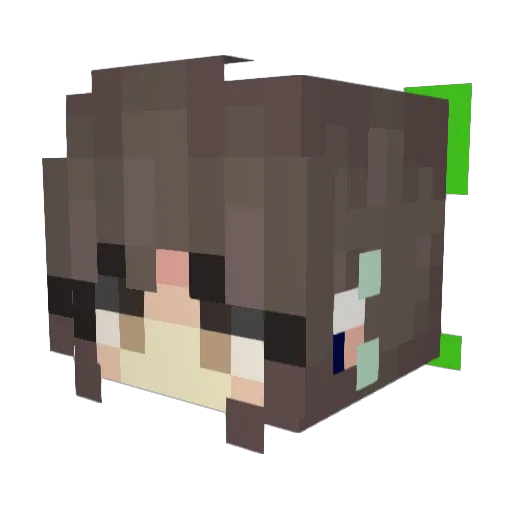 Kyopi_____ Minecraft avatar head, 3D render