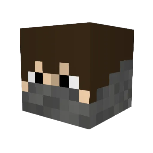 Kyoske Minecraft avatar head, 3D render