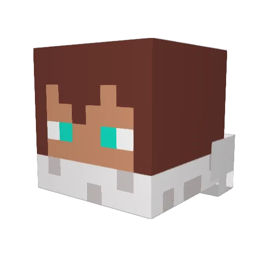 Kyote121 Minecraft avatar head, 3D render