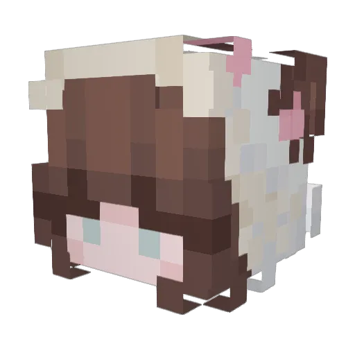 Kyotto1 Minecraft avatar head, 3D render