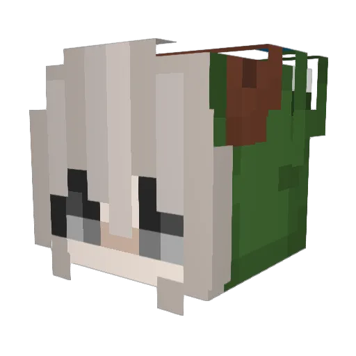 Kyouki_Jay Minecraft avatar head, 3D render
