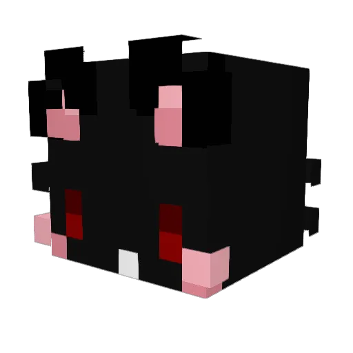 Kyr0us Minecraft avatar head, 3D render