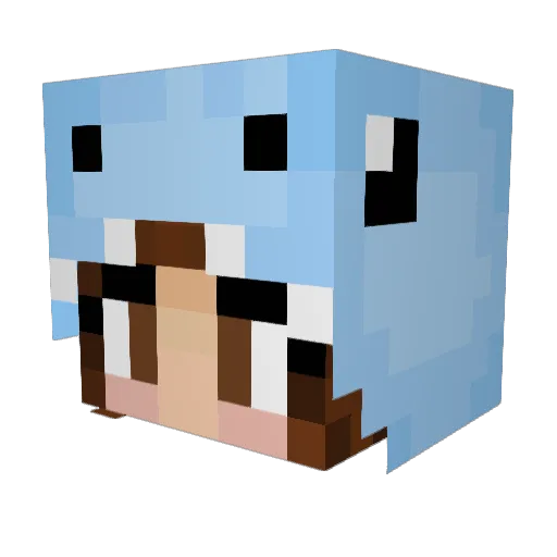 Kyrex07 Minecraft avatar head, 3D render