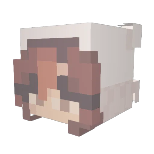 KyroKinetic_ Minecraft avatar head, 3D render